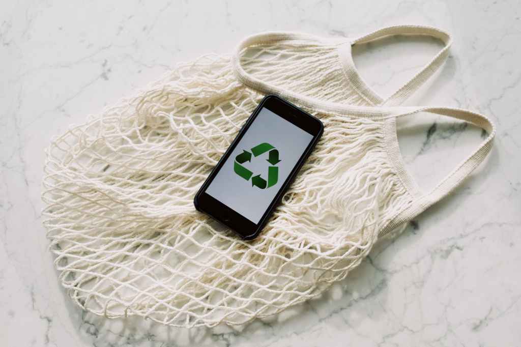 live sustainably reusable bag